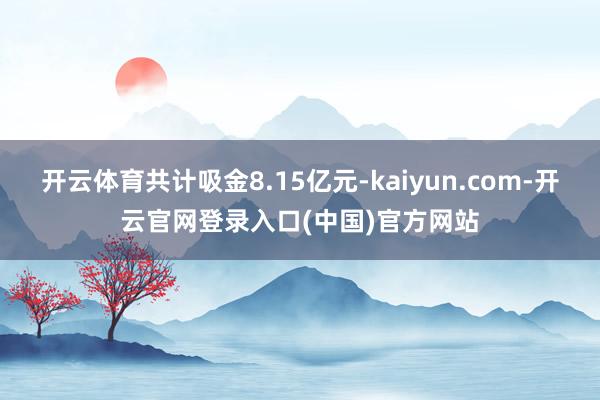 开云体育共计吸金8.15亿元-kaiyun.com-开云官网登录入口(中国)官方网站