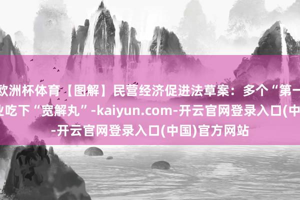 欧洲杯体育【图解】民营经济促进法草案：多个“第一”给民营企业吃下“宽解丸”-kaiyun.com-开云官网登录入口(中国)官方网站