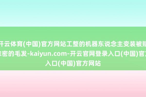 开云体育(中国)官方网站工整的机器东说念主变装被赋予了浓密的毛发-kaiyun.com-开云官网登录入口(中国)官方网站