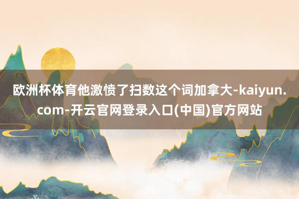 欧洲杯体育他激愤了扫数这个词加拿大-kaiyun.com-开云官网登录入口(中国)官方网站
