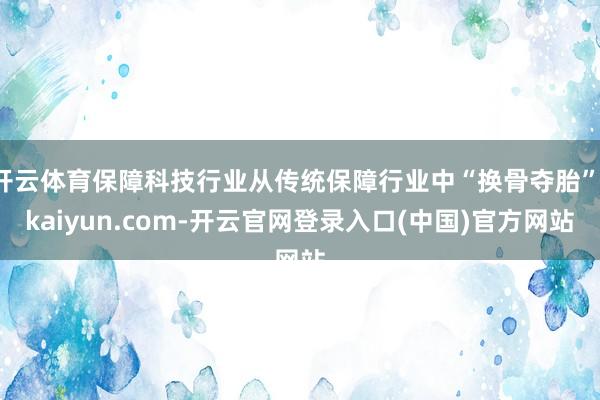 开云体育保障科技行业从传统保障行业中“换骨夺胎”-kaiyun.com-开云官网登录入口(中国)官方网站