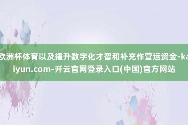 欧洲杯体育以及擢升数字化才智和补充作营运资金-kaiyun.com-开云官网登录入口(中国)官方网站