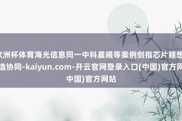 欧洲杯体育海光信息同一中科晨曦等案例剑指芯片瞎想-制造协同-kaiyun.com-开云官网登录入口(中国)官方网站